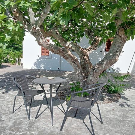 B&B Villa Rosanna Fasano Extérieur photo